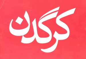 کرگدن