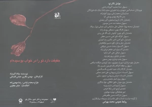 حقیقت دارد تو را در خواب بوسیده ام