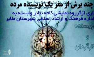 چند برش از مغز یک نویسنده مرده