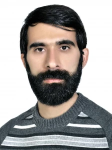 امیر محمد حسنوند