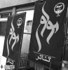 ‌راز مهمان جدید تالار مولوی