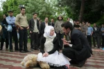 مگنا پلازا 8