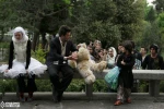 مگنا پلازا 7