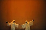مرغ مینا 4