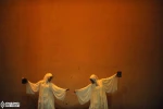 مرغ مینا 4