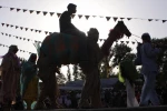 شوشی 4