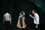 درخت ها 1