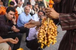 هیلو زرنا 2