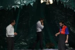 درخت ها 11