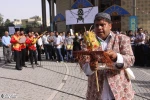تکم اویونی 5