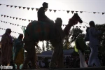 شوشی 4