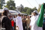 میلاد نور 4