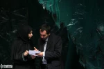 درخت ها 3