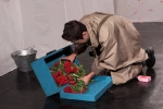 اسب های پشت پنجره 10