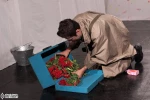 اسب های پشت پنجره 10