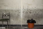 اینجا خانه شماست! 4