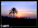 پایان چهارمین جشنواره استانی تئاتر طنز تنگستان (استان بوشهر)