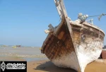 ”غول جنگل سبز” در بندر دیر