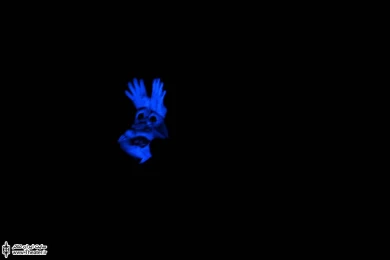 من-هملت-تو 6