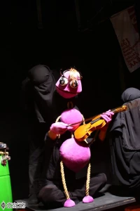 کنسرت حشرات