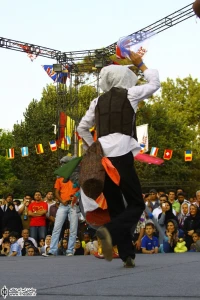 کوسه گلین