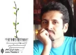 یادداشت ”رامین فناییان” در خصوص برگزاری اردیبهشت تئاتر