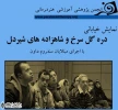 برگزیده شدن نمایش خیابانی ”دره گل سرخ و شاهزاده های شیردل”در جشنواره کنفدراسیون دانشجویی جهان