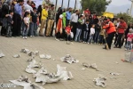 بیگانگان در شهر 4