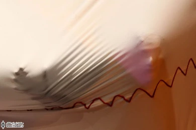 مگافونیا 5