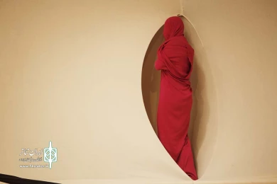دگردیسى پروانه شدن 3