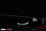 شورای مرکزی گروه 