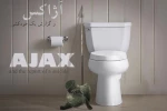 آژاکس و گزارش یک خودکشی