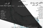 تانگوی تخم مرغ داغ