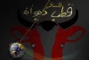 قطب دیوانه