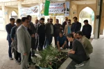 تیم فوتبال اداره کل هنرهای نمایشی 8