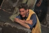 وعده گاه نهنگ ها