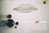 همتون منو می شناسین