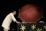 عروس چینی