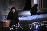 خورشیدهای همیشه