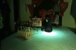 سوگواره ملی از عاشورا تا اربعین