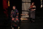 زری سلطان