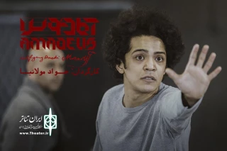 مجید نوروزى  «آمادئوس» می‌شود 