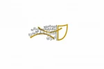 نشست خبری بیستمین جشنواره بین‌المللی تئاتر دانشگاهی ایران کنسل شد 2