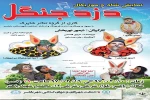نمایش  موزیکال «دزد جنگل» در بابلسر به صحنه می‌رود 6