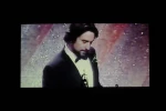 جوجه تیغی