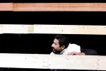 شپش