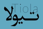 «تیولا» هفدهم مرداد میزبان اهالی رسانه است 4