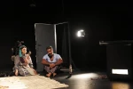 دلفین ها