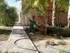 فرهنگ سرای مهر کاشان برای میزبانی جشنواره ملی تئاتر مهر آماده  می شود 7