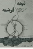 نیمه فرشته به تماشاخانه باران رسید 3
